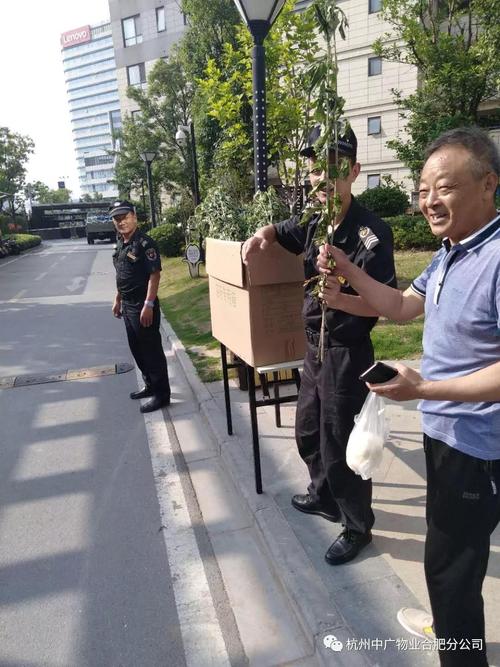 杭州中广物业依澜雅居端午嘉年华圆满成功